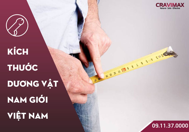 kích thước dương vật đàn ông Việt Nam