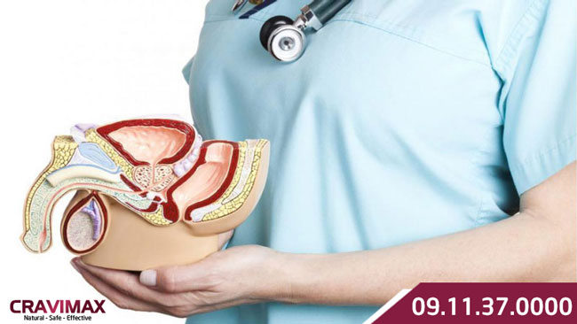 kích thước dương vật khi về già