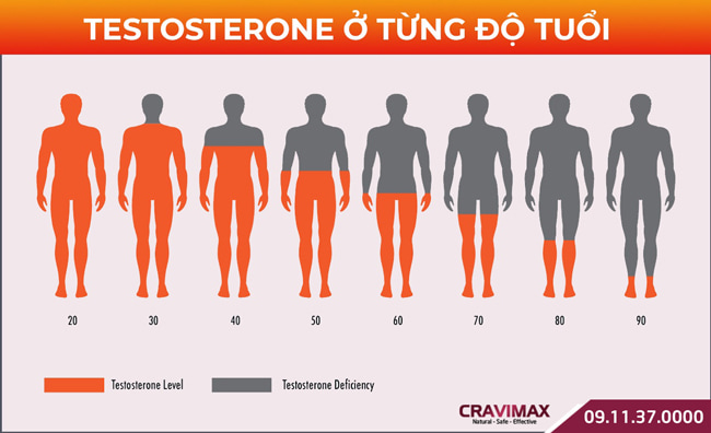 nội tiết tố nam
